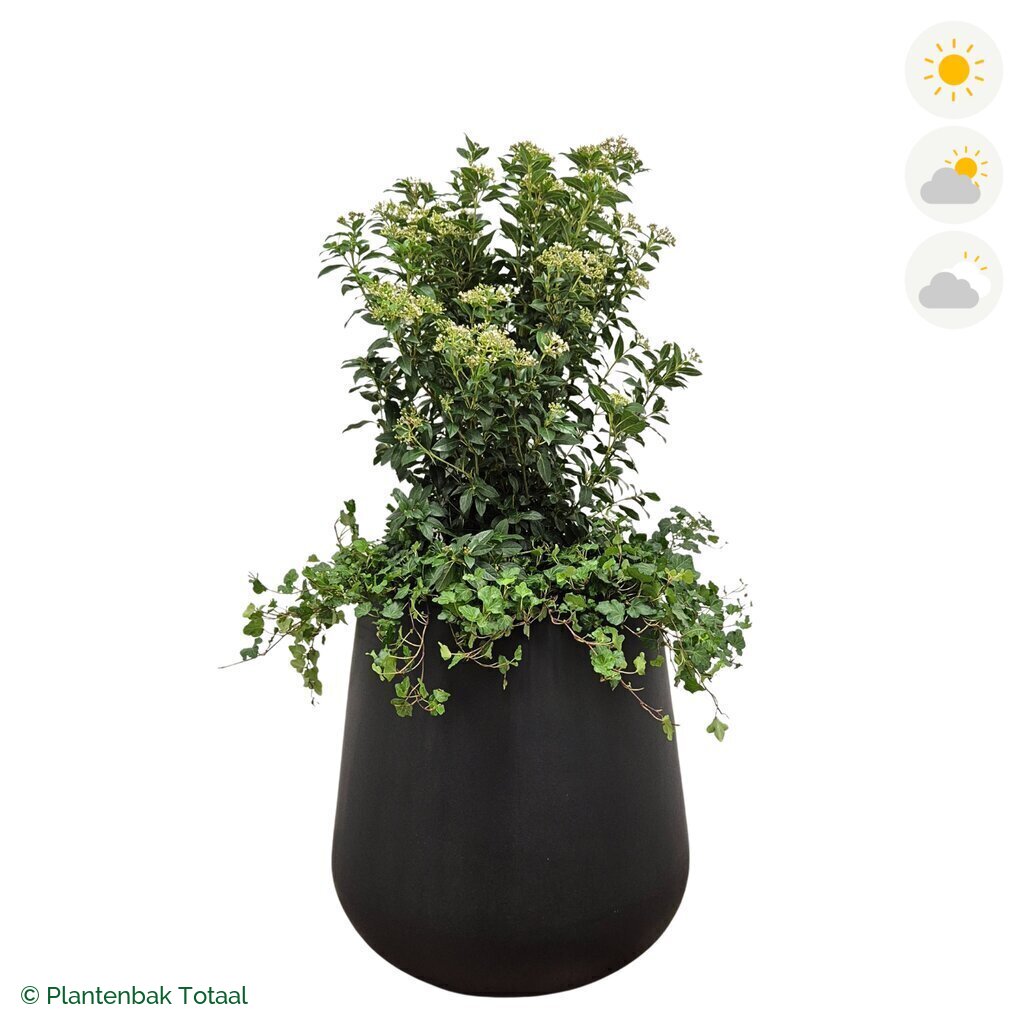 productfoto van plantenbak Fiberstone Pax Sneeuwbal Combinatie
