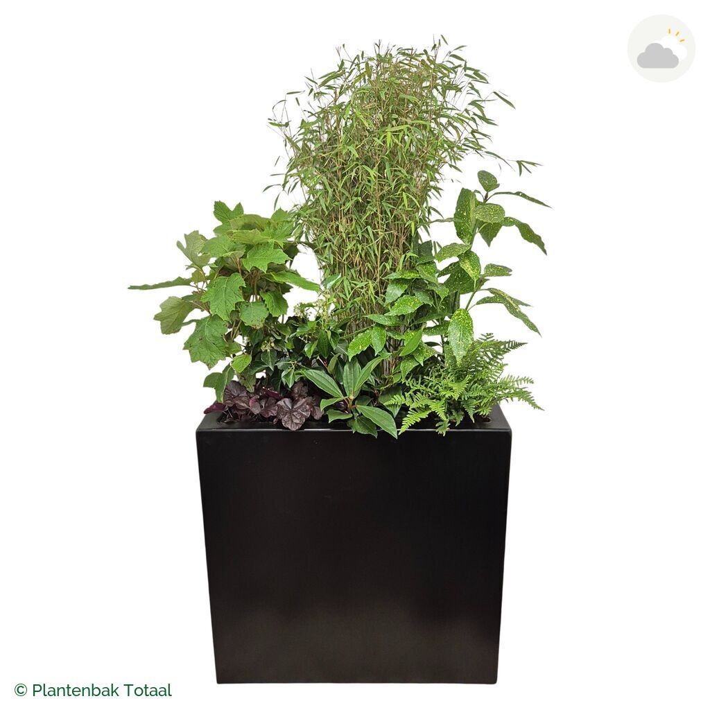 productfoto van plantenbak Aluminium Carrez Rechthoek Set Amazone