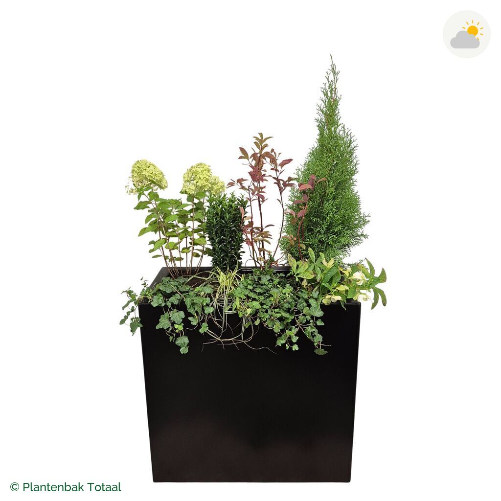 productfoto van plantenbak Aluminium Carrez Rechthoek Set Ardennen