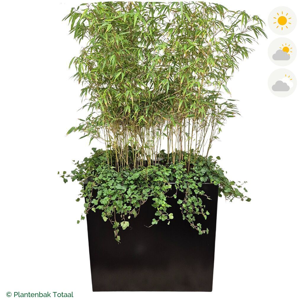 productfoto van plantenbak Aluminium Carrez Rechthoek Bamboe Afscheiding