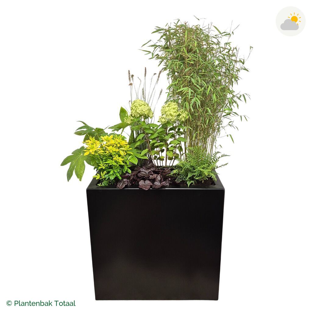 productfoto van plantenbak Aluminium Carrez Rechthoek Set Bohemen