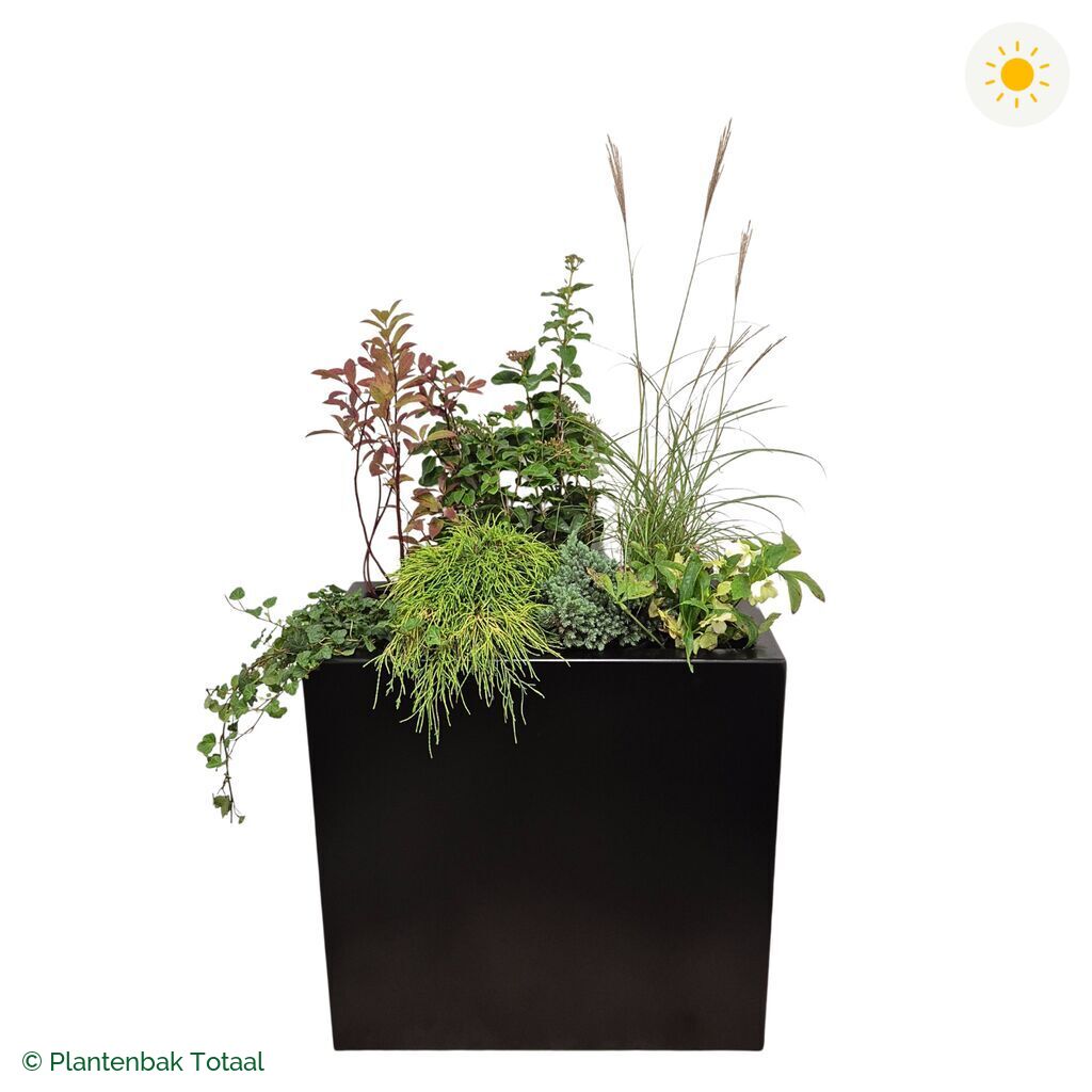 productfoto van plantenbak Aluminium Carrez Rechthoek Set Bretagne