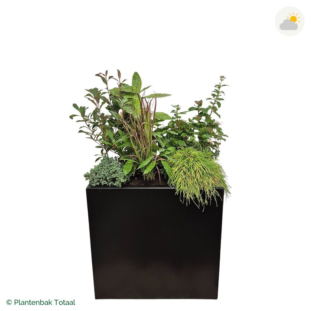 productfoto van plantenbak Aluminium Carrez Rechthoek Set Eifel
