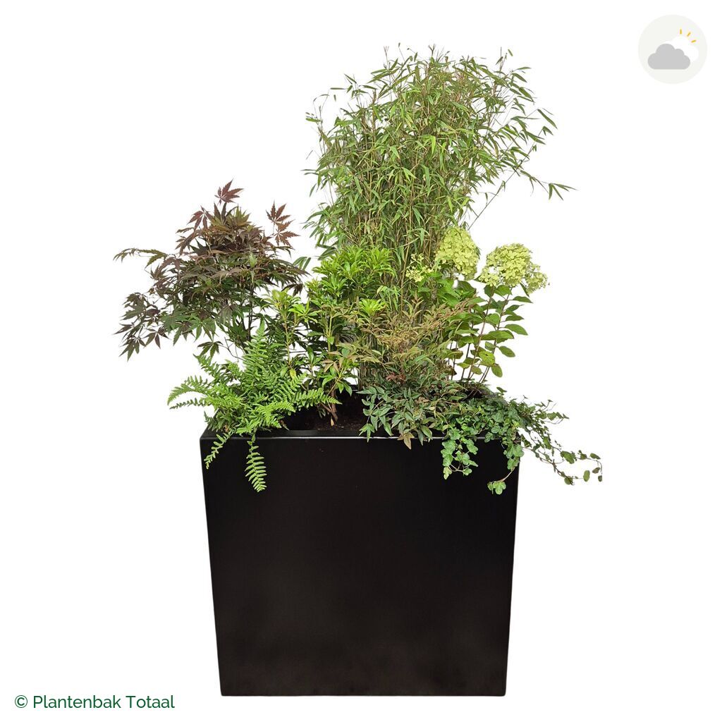 productfoto van plantenbak Aluminium Carrez Rechthoek Set Himalaya