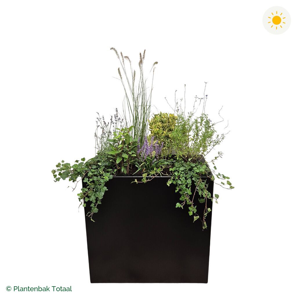 productfoto van plantenbak Aluminium Carrez Rechthoek Set Provence