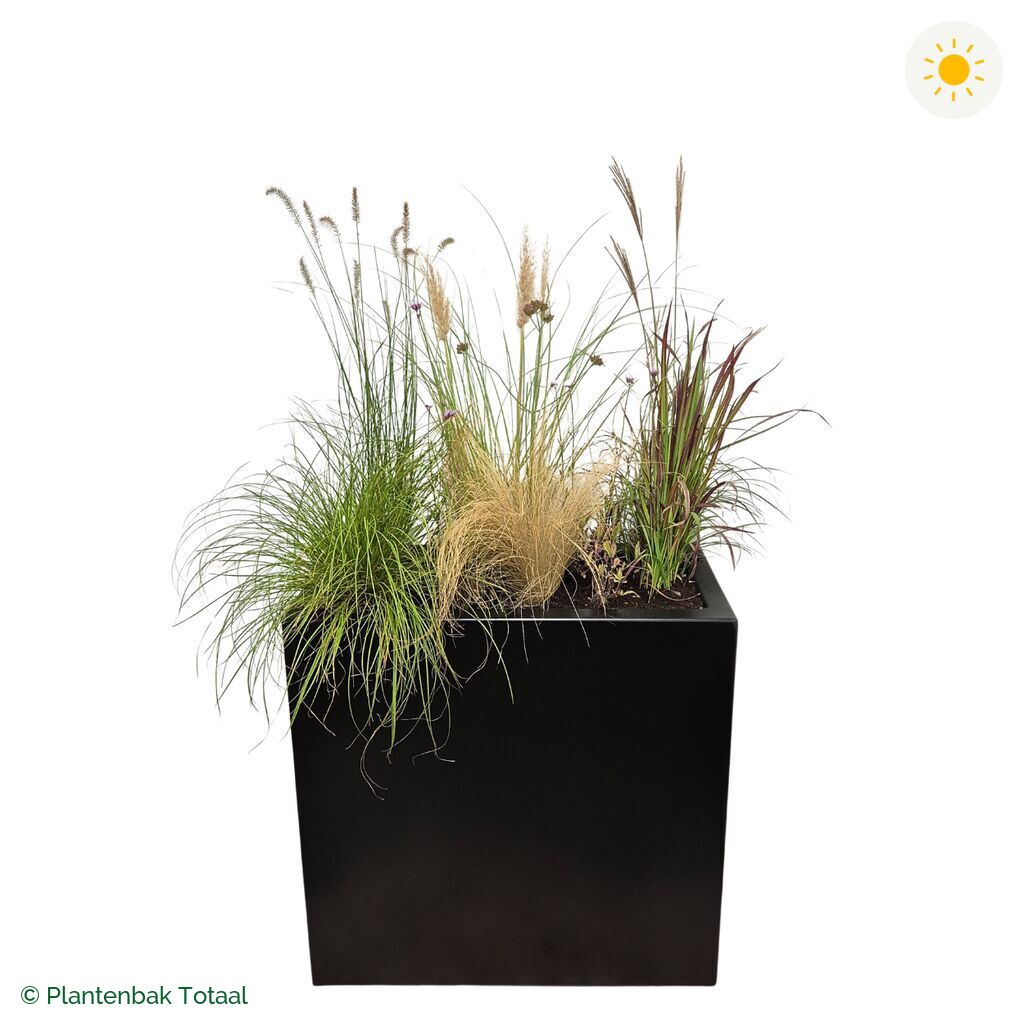 productfoto van plantenbak Aluminium Carrez Rechthoek Set Savanne