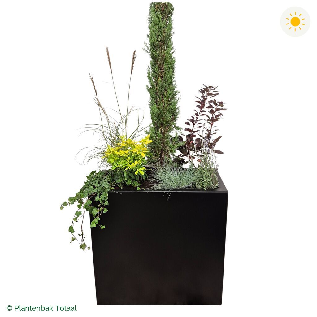 productfoto van plantenbak Aluminium Carrez Rechthoek Set Toscane