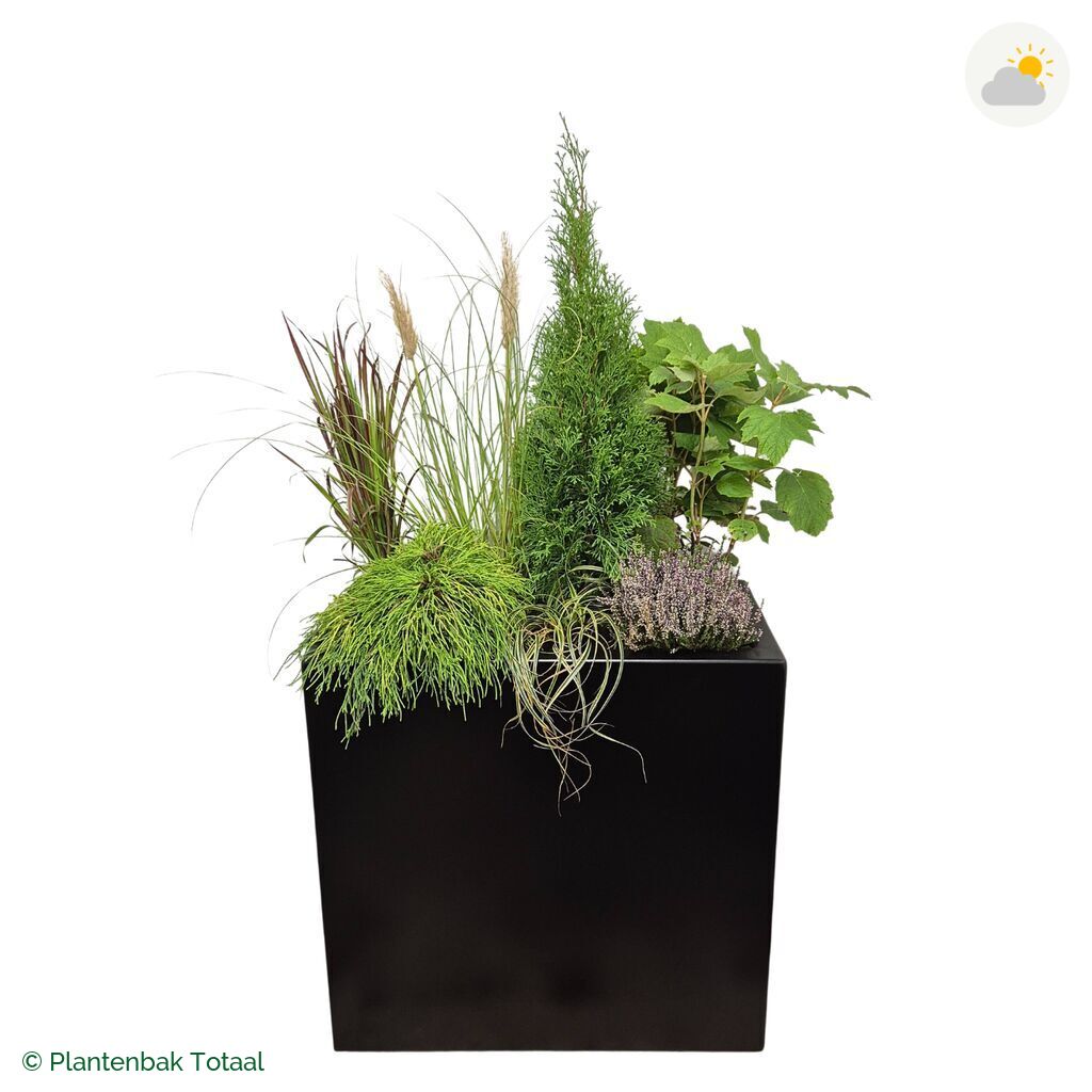 productfoto van plantenbak Aluminium Carrez Rechthoek Set Veluwe