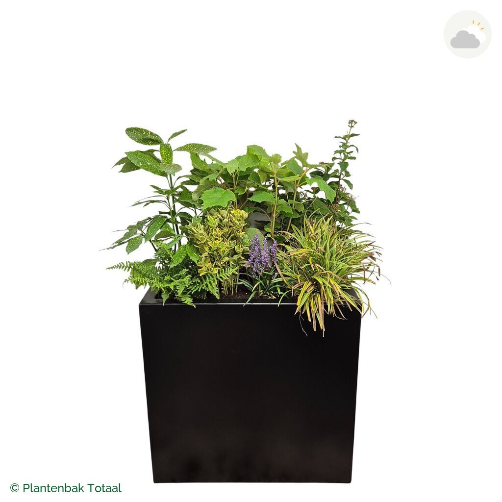 productfoto van plantenbak Aluminium Carrez Rechthoek Set York