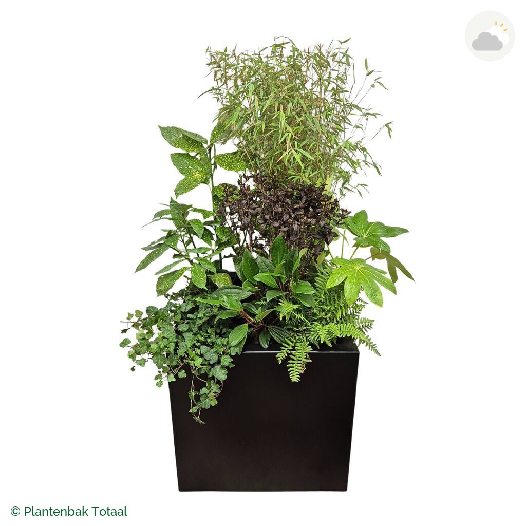 productfoto van plantenbak Aluminium Carrez Vierkant Set Amazone