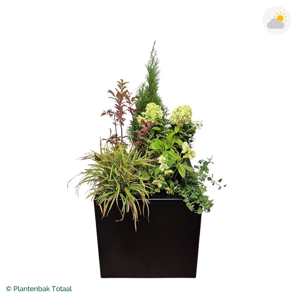 productfoto van plantenbak Aluminium Carrez Vierkant Set Ardennen