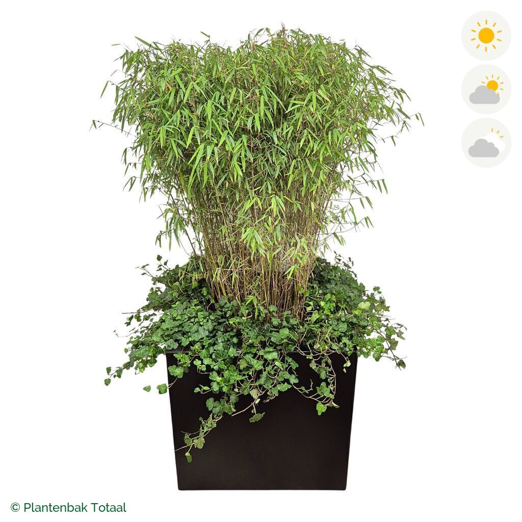 productfoto van plantenbak Aluminium Carrez Vierkant Bamboe Combinatie