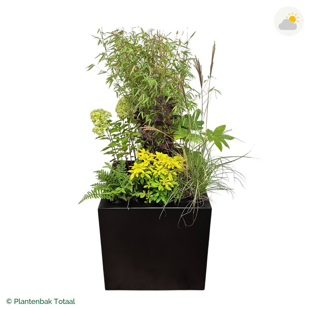 productfoto van plantenbak Aluminium Carrez Vierkant Set Bohemen
