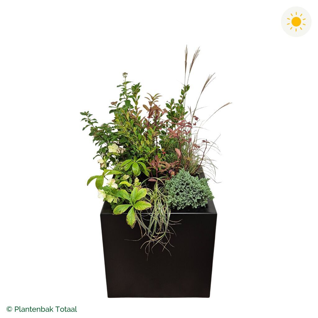 productfoto van plantenbak Aluminium Carrez Vierkant Set Bretagne