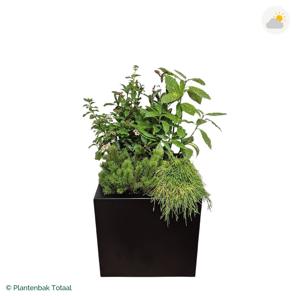productfoto van plantenbak Aluminium Carrez Vierkant Set Eifel