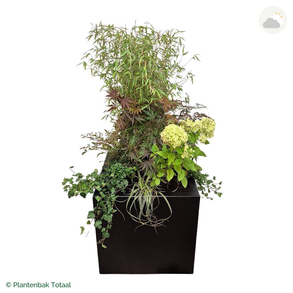 productfoto van plantenbak Aluminium Carrez Vierkant Set Himalaya