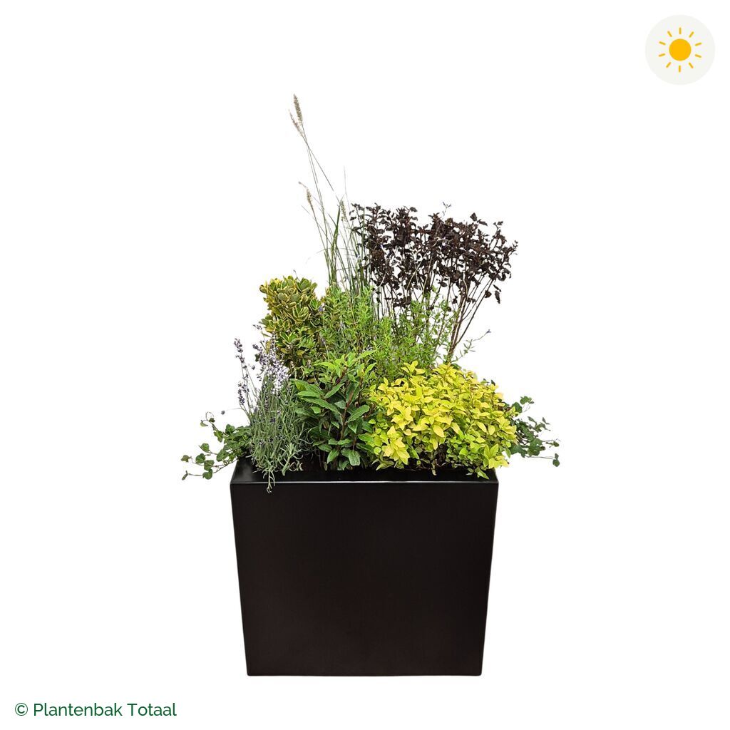 productfoto van plantenbak Aluminium Carrez Vierkant Set Provence