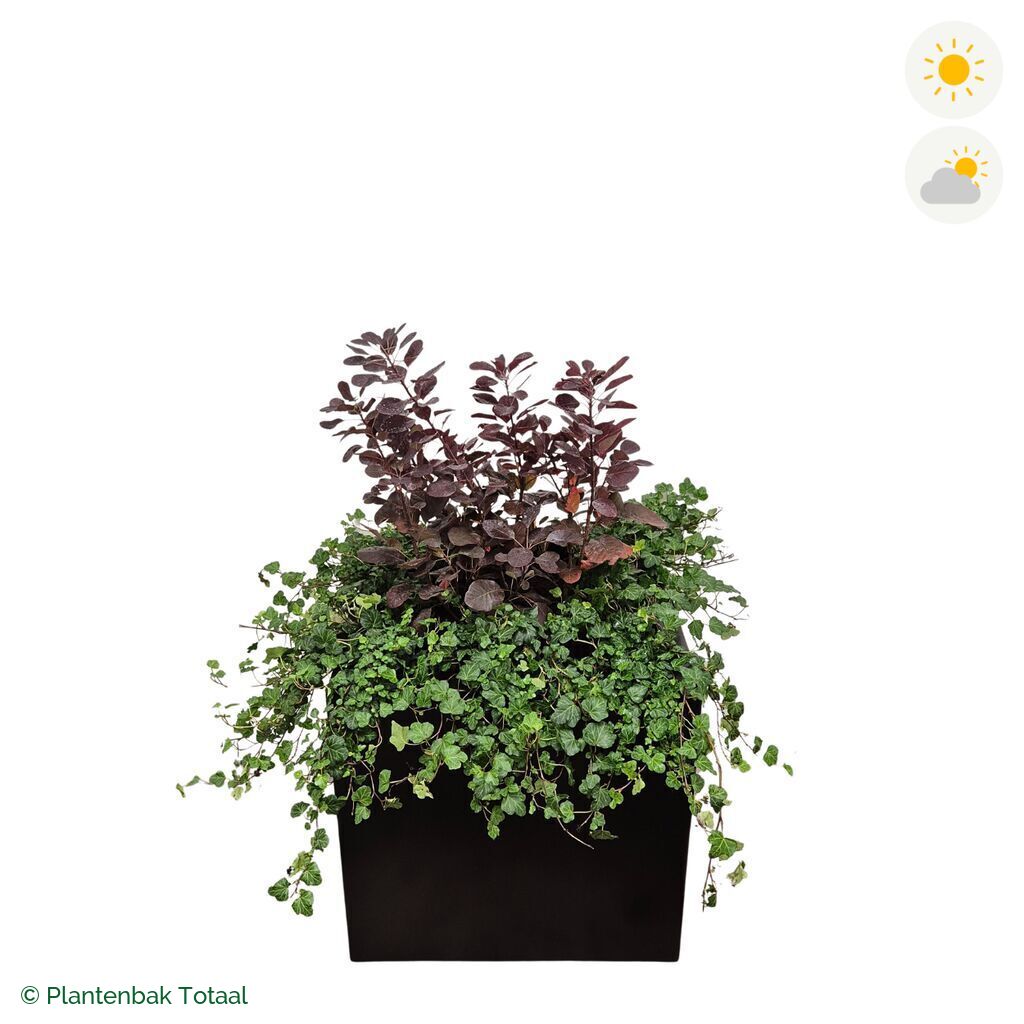 productfoto van plantenbak Aluminium Carrez Vierkant Pruikenboom Combinatie