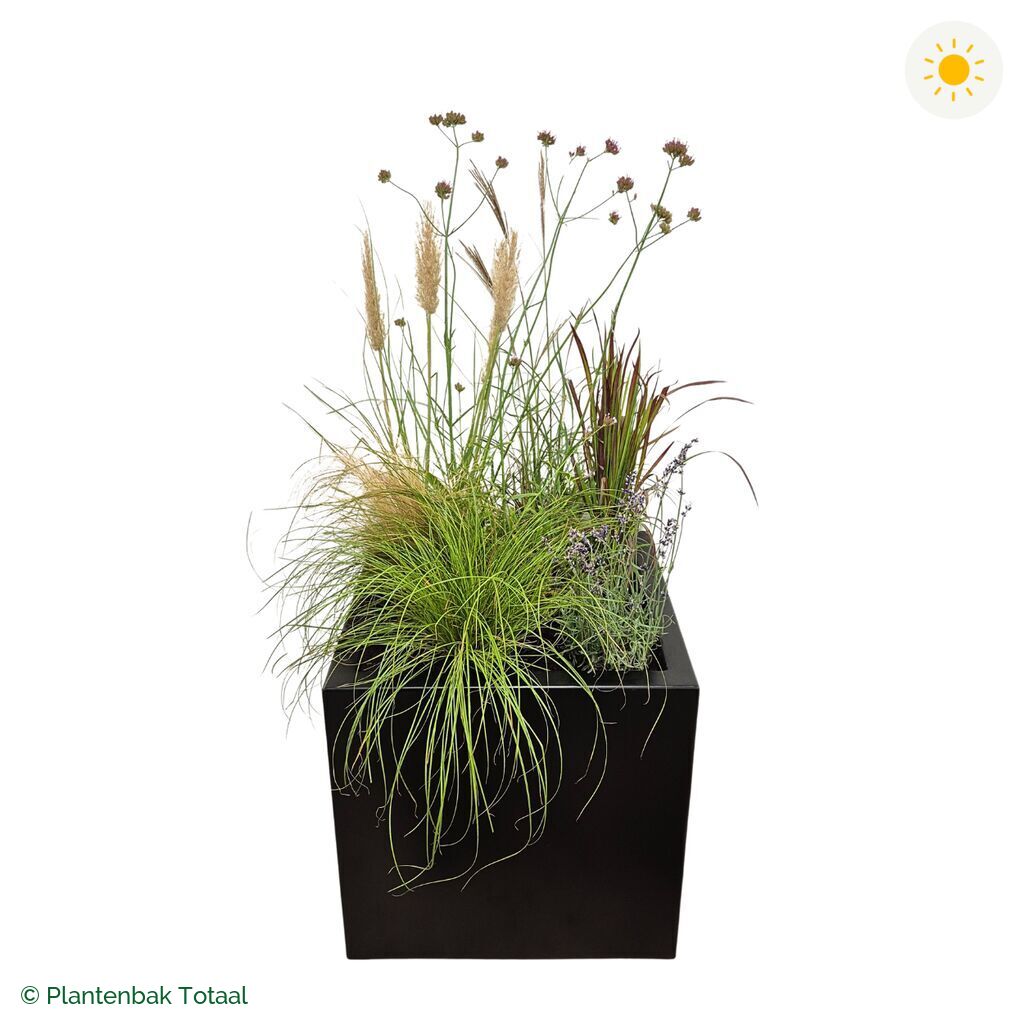productfoto van plantenbak Aluminium Carrez Vierkant Set Savanne