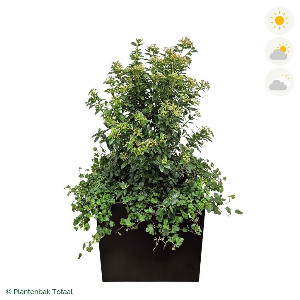 productfoto van plantenbak Aluminium Carrez Vierkant Sneeuwbal Combinatie