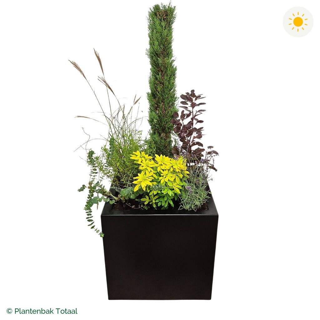 productfoto van plantenbak Aluminium Carrez Vierkant Set Toscane