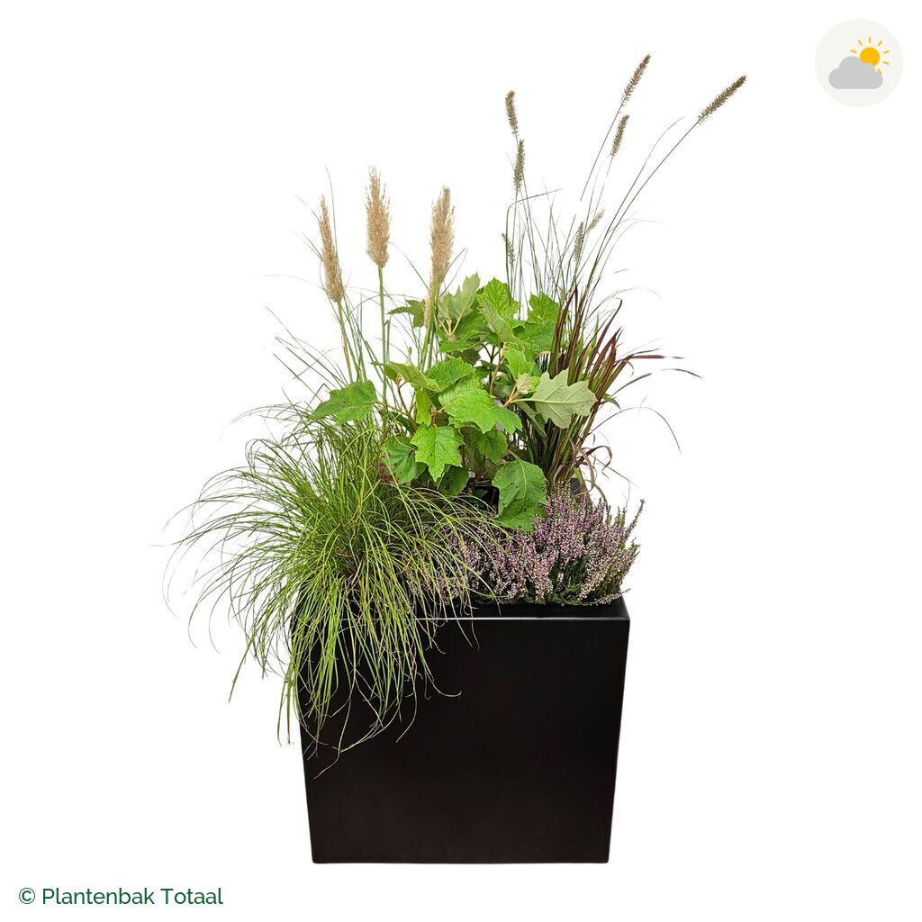 productfoto van plantenbak Aluminium Carrez Vierkant Set Veluwe