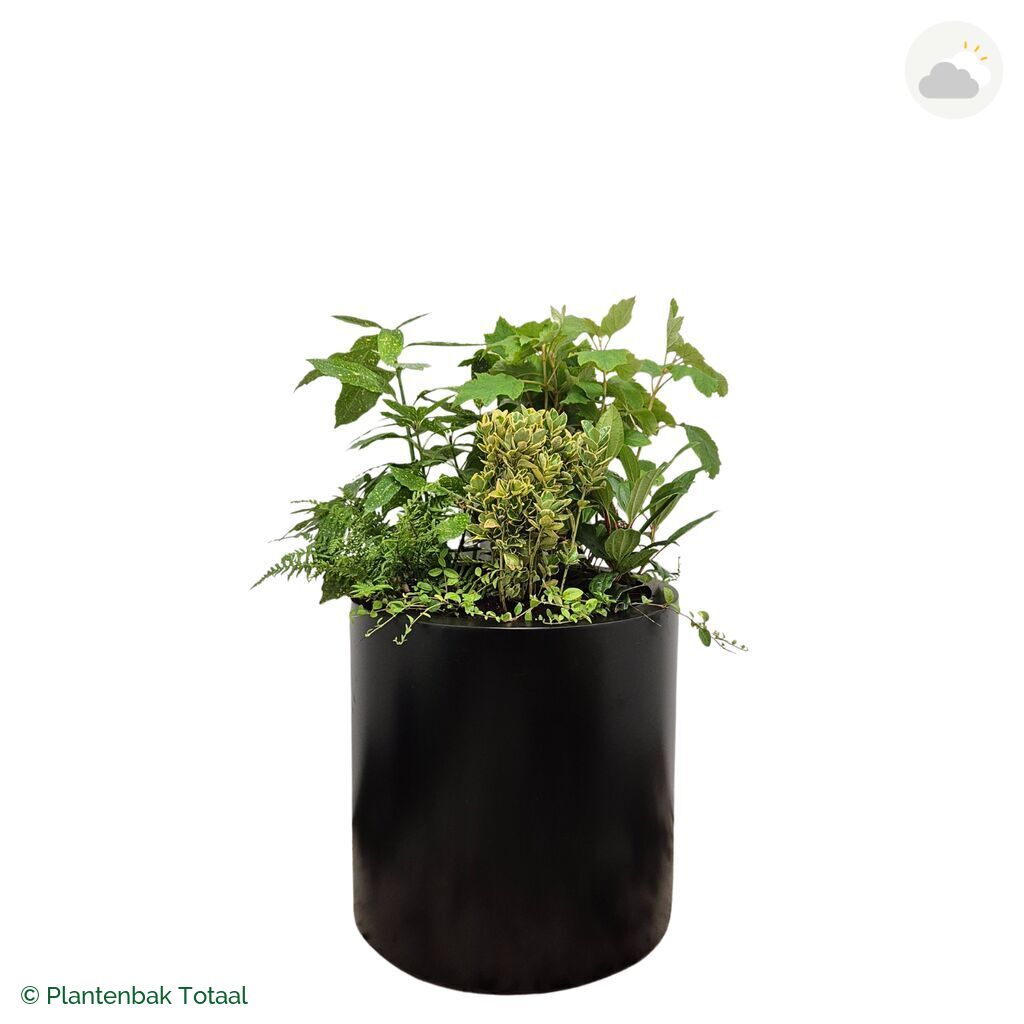 productfoto van plantenbak Aluminium Circum Set Amazone