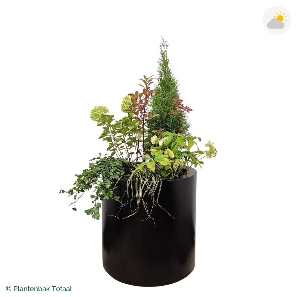 productfoto van plantenbak Aluminium Circum Set Ardennen