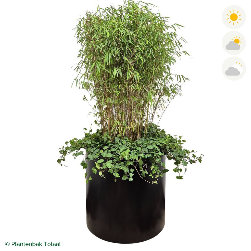 productfoto van plantenbak Aluminium Circum Bamboe Combinatie