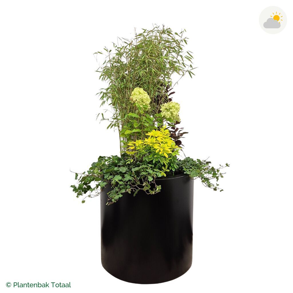 productfoto van plantenbak Aluminium Circum Set Bohemen