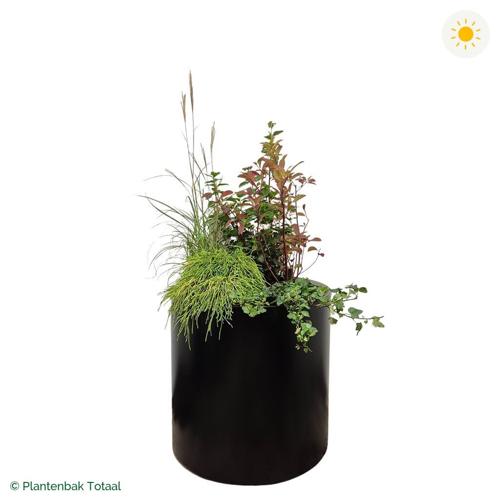 productfoto van plantenbak Aluminium Circum Set Bretagne