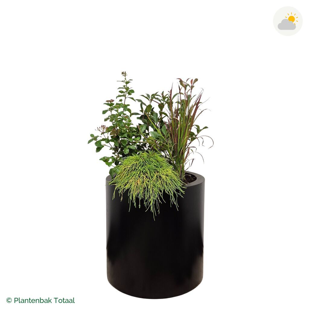 productfoto van plantenbak Aluminium Circum Set Eifel
