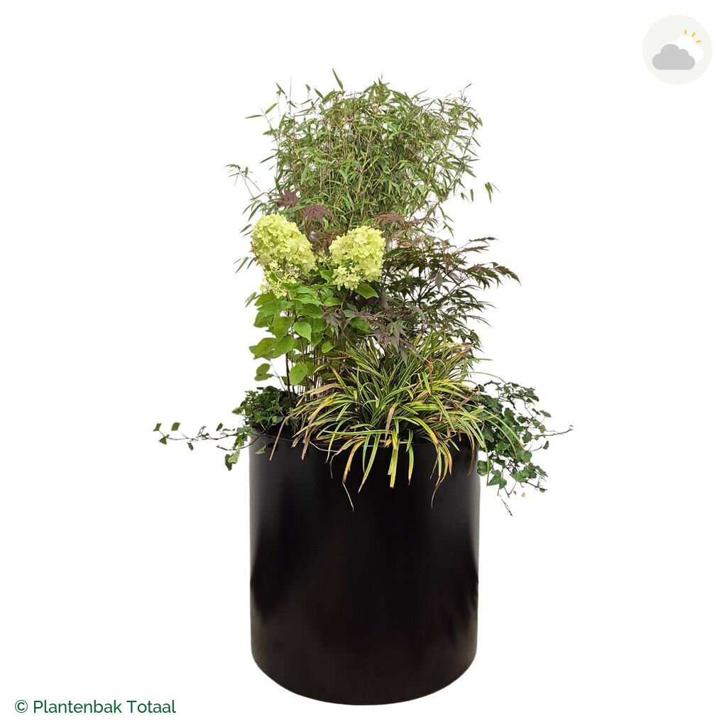 productfoto van plantenbak Aluminium Circum Set Himalaya