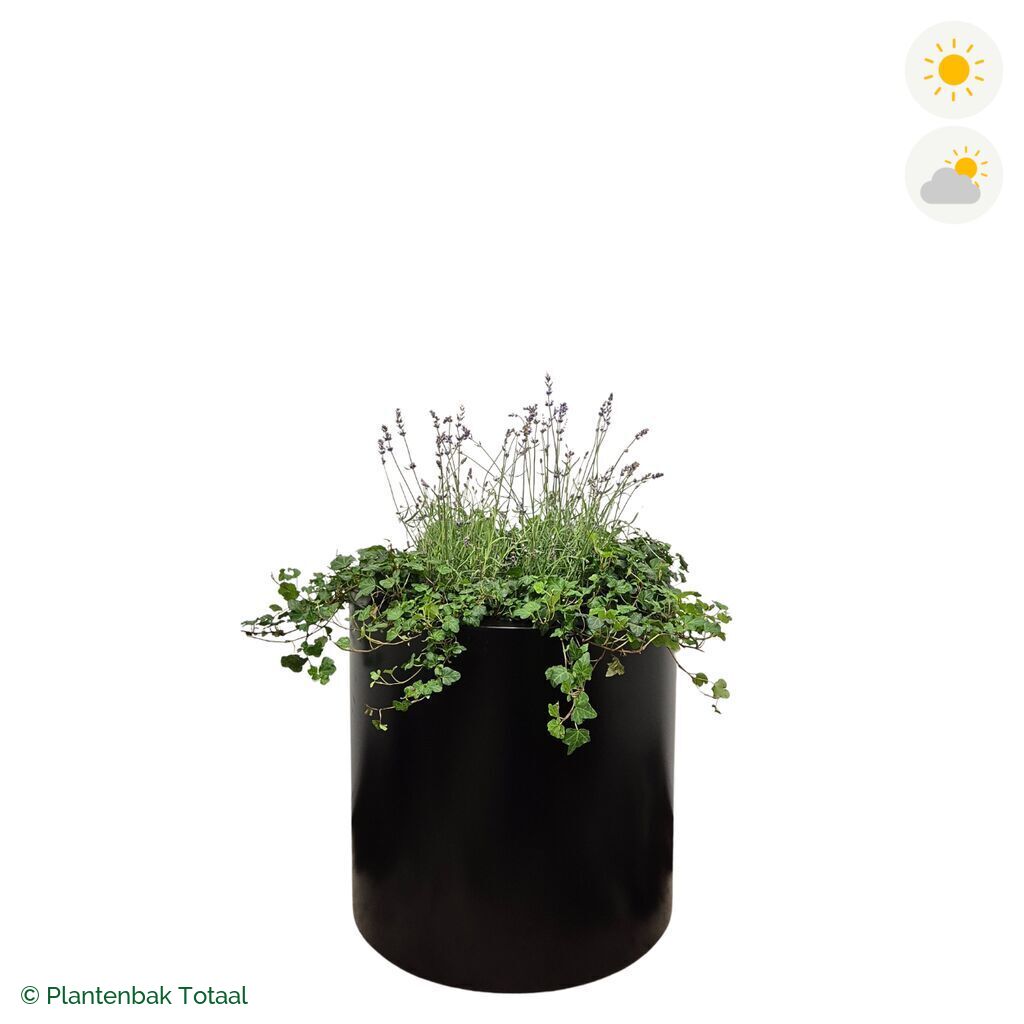 productfoto van plantenbak Aluminium Circum Lavendel Combinatie