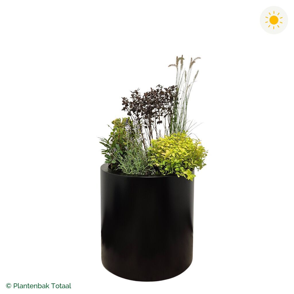 productfoto van plantenbak Aluminium Circum Set Provence
