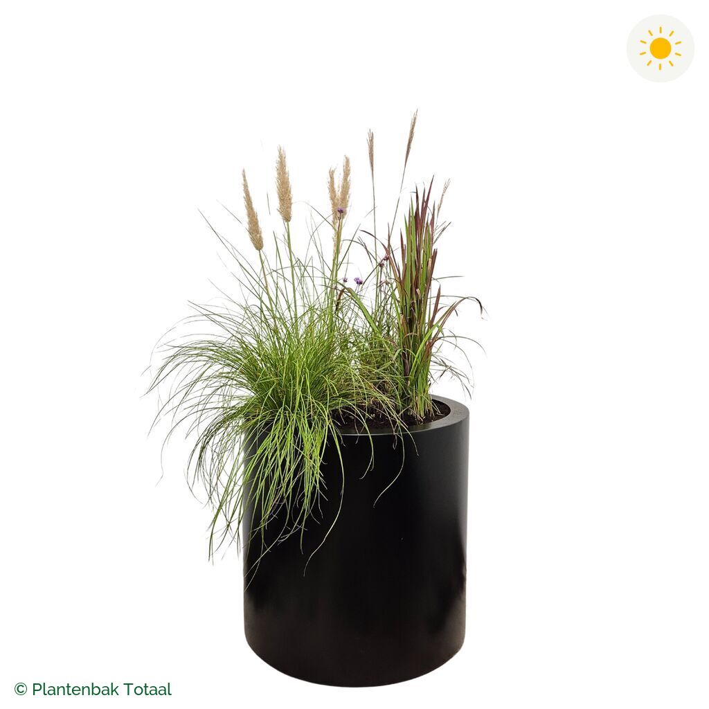 productfoto van plantenbak Aluminium Circum Set Savanne