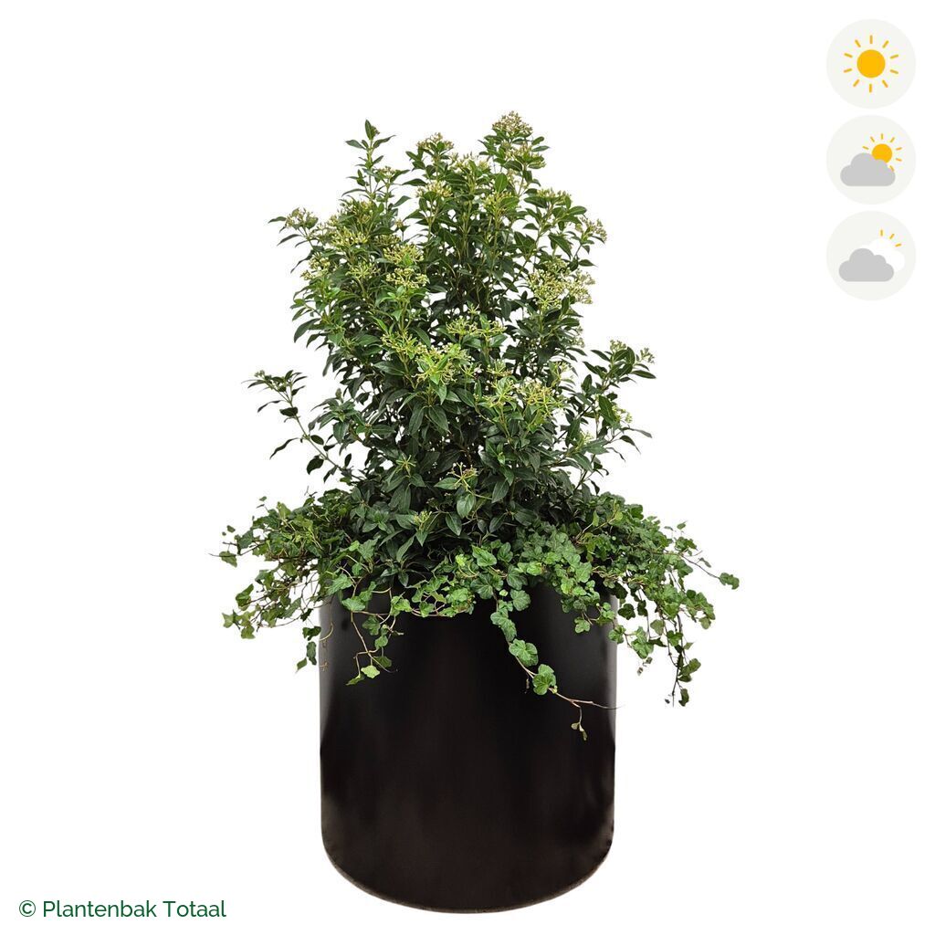 productfoto van plantenbak Aluminium Circum Sneeuwbal Combinatie