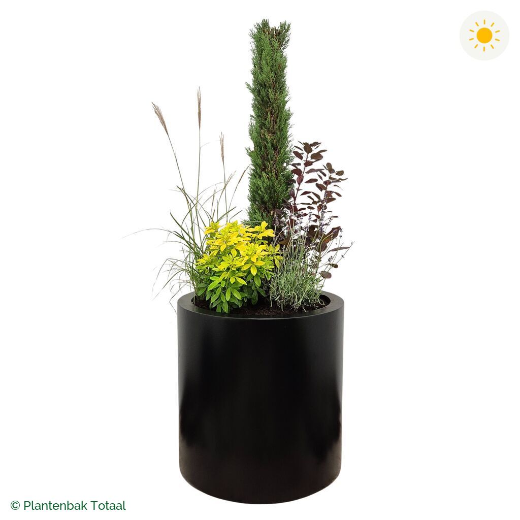 productfoto van plantenbak Aluminium Circum Set Toscane
