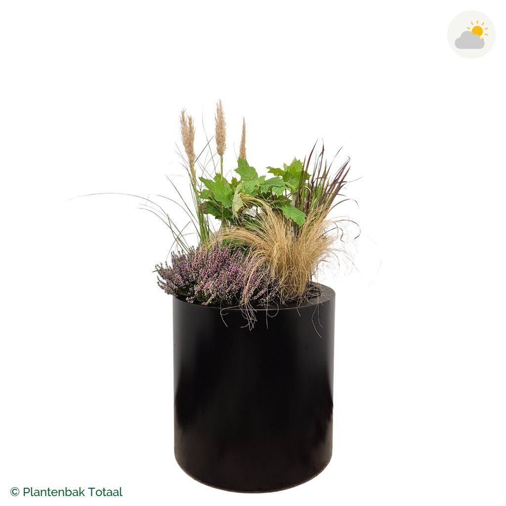 productfoto van plantenbak Aluminium Circum Set Veluwe