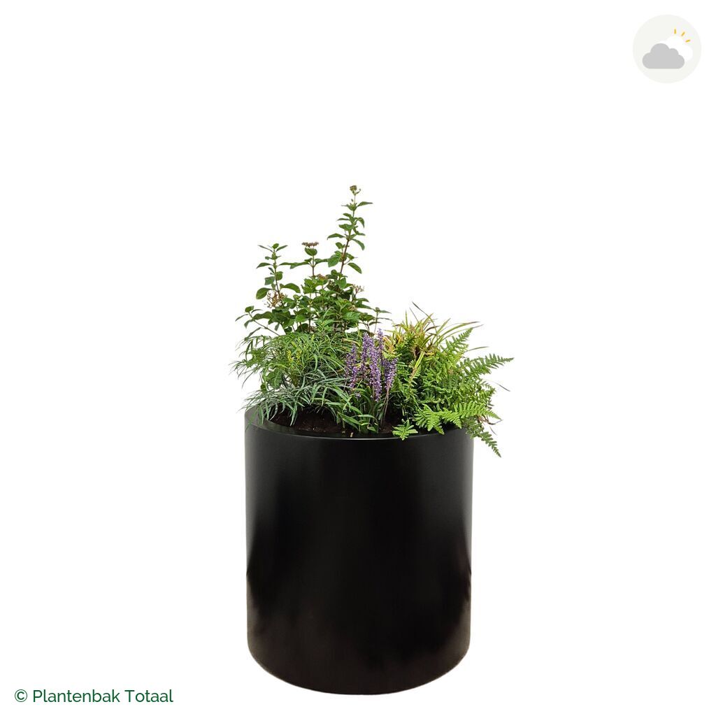 productfoto van plantenbak Aluminium Circum Set York