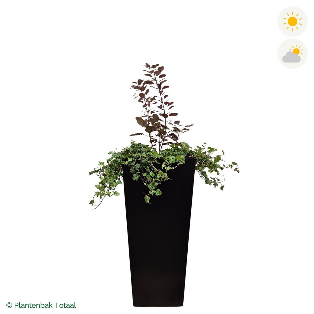 productfoto van plantenbak Aluminium Tap Pruikenboom Combinatie