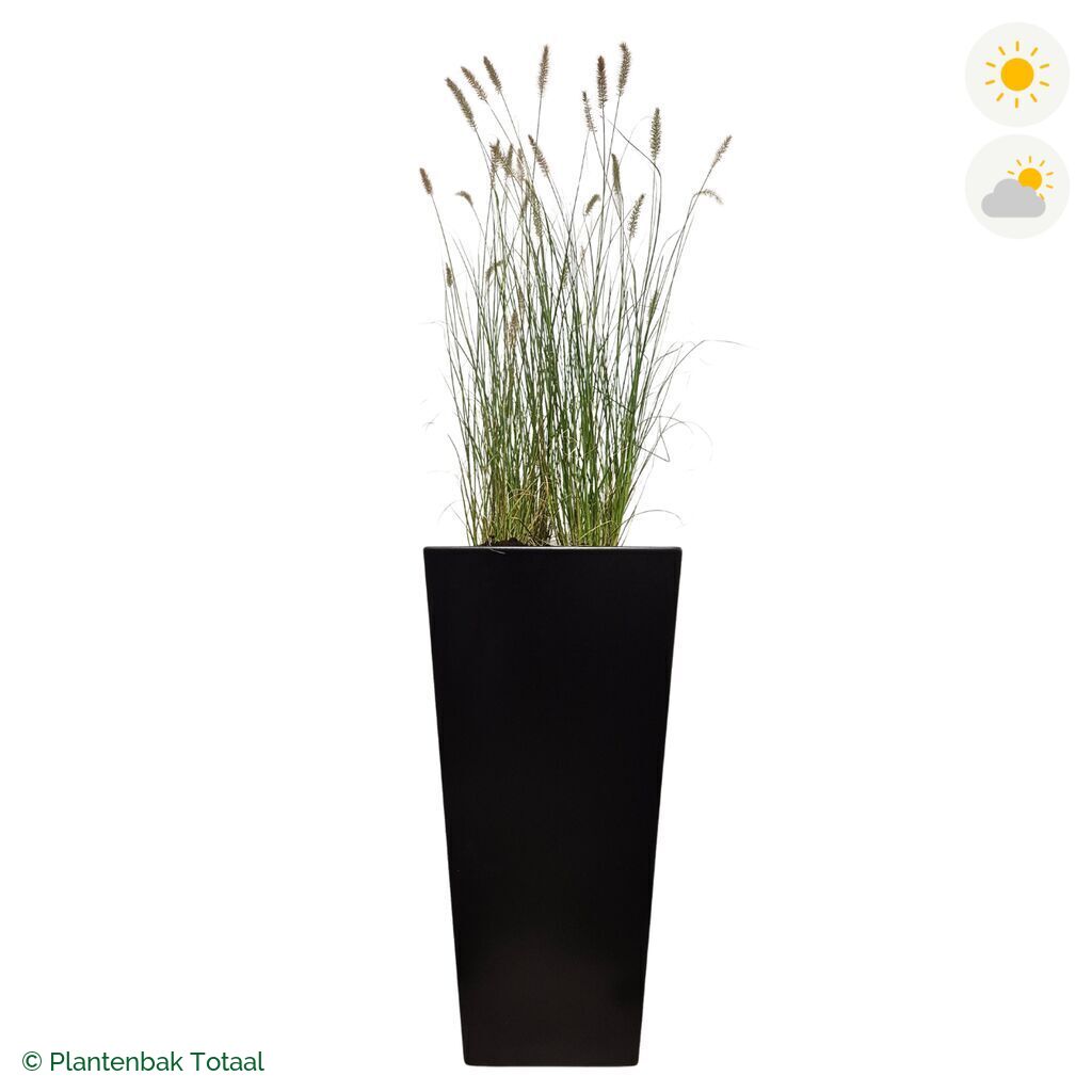 productfoto van plantenbak Aluminium Tap Lampenpoetsersgras