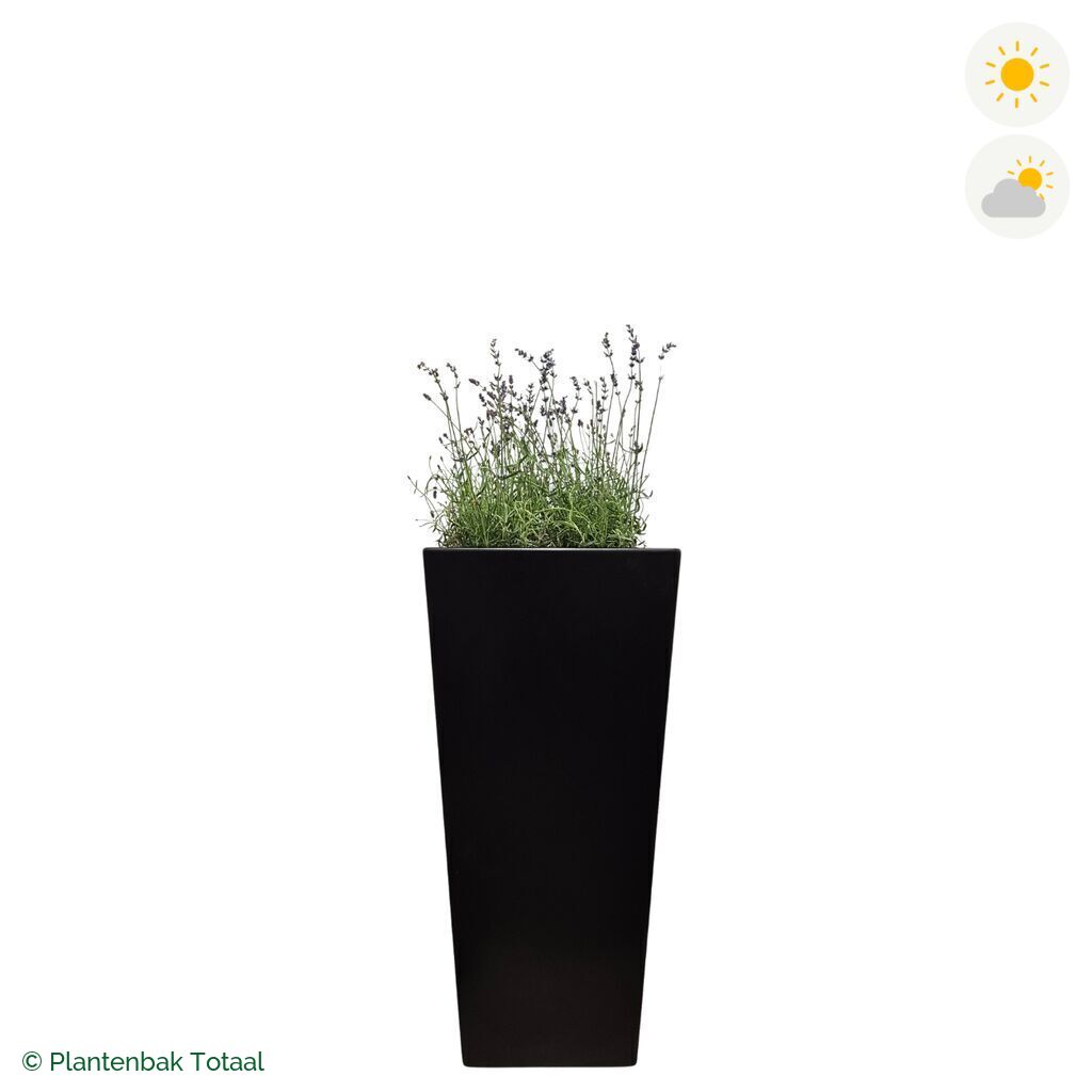 productfoto van plantenbak Aluminium Tap Lavendel Combinatie