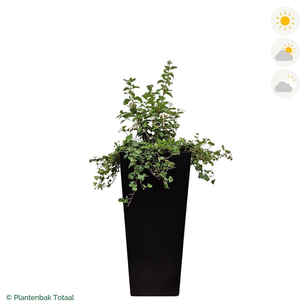 productfoto van plantenbak Aluminium Tap Sneeuwbal Combinatie