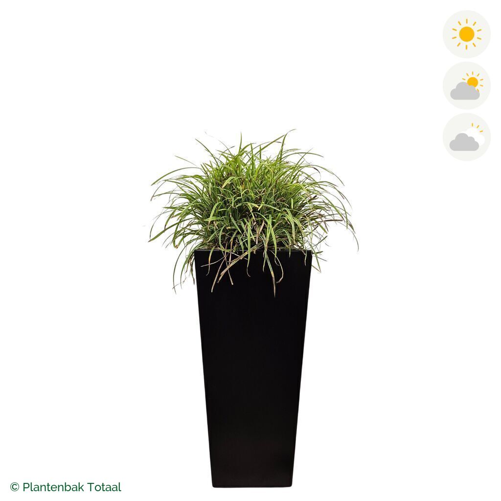 productfoto van plantenbak Aluminium Tap Zegge