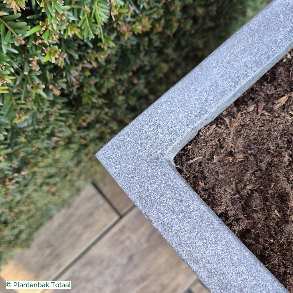 productlijn foto van plantenbak FF Bouvy L vierkant
