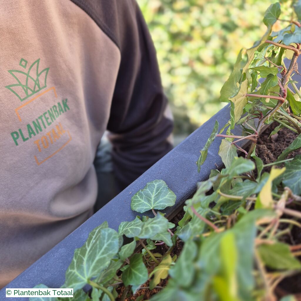 productlijn foto van plantenbak FF Bouvy XL vierkant