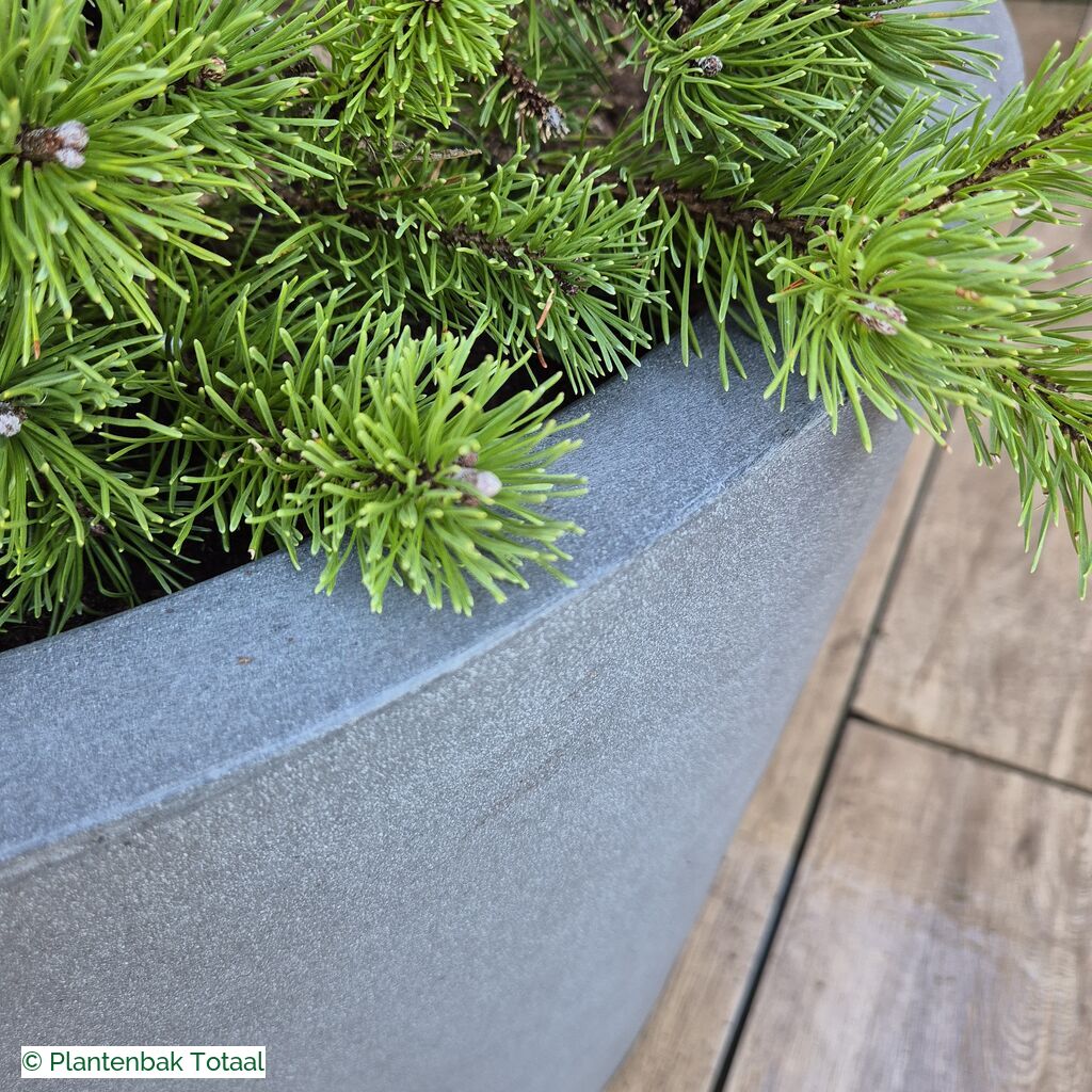 productlijn foto van plantenbak FF Bucket rond