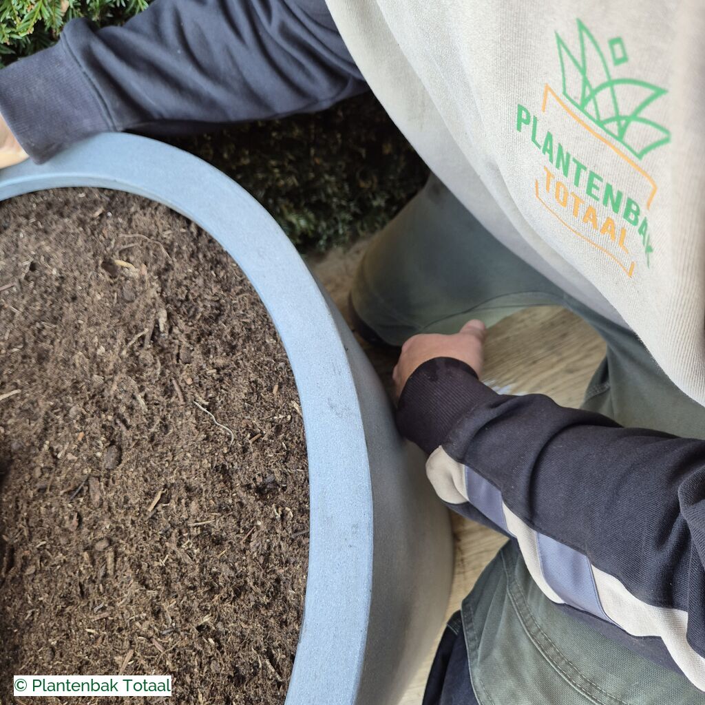 productlijn foto van plantenbak FF Bucket rond