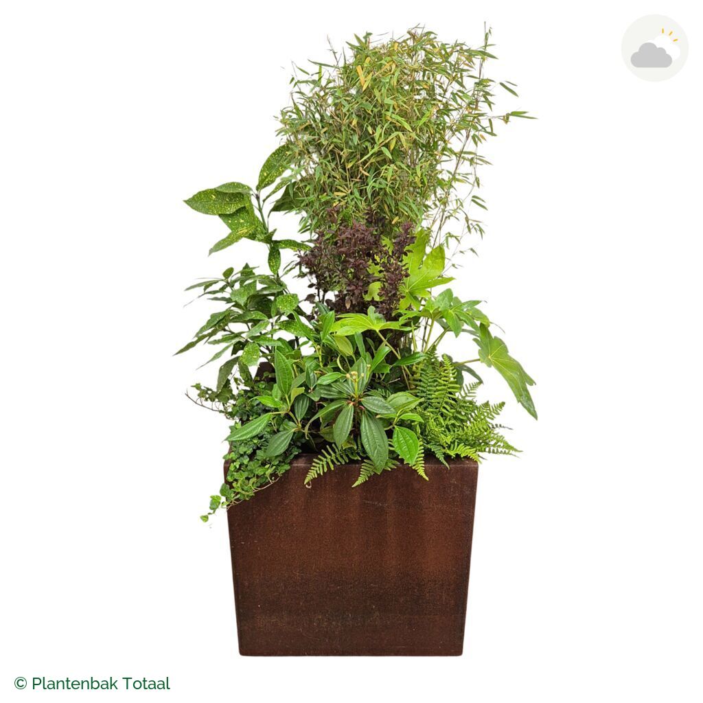 productfoto van plantenbak Cortenstaal Carrez Vierkant Set Amazone